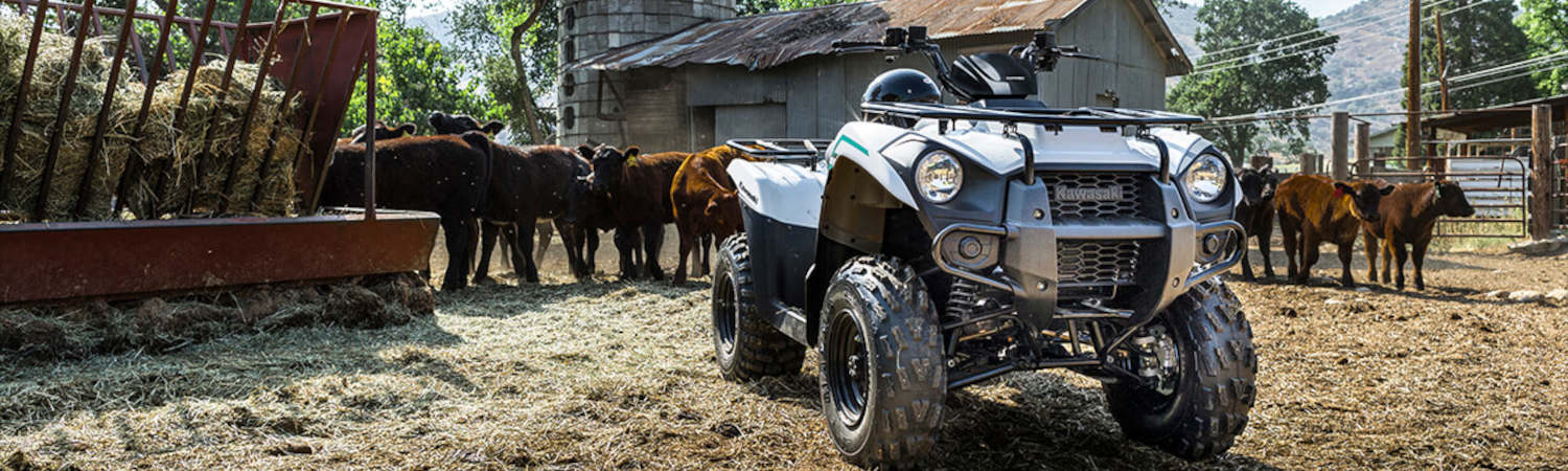 2022 Kawasaki for sale in Oasis Powersports, Marion, Illinois